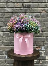 Цветочная композиция из Гипсофила и Розы в шляпной коробке в Ветлужском Костромской области