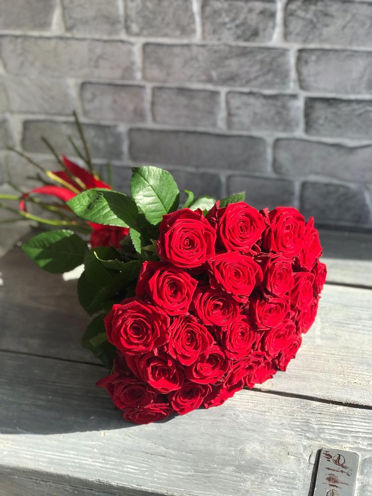 Букет Красные розы Фридом в Ветлужском Костромской области