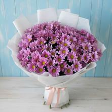 Букет цветов из:  Хризантемы #REPLACE_PRED# Ветлужском Костромской области