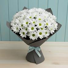 Букет цветов из:  Хризантемы #REPLACE_PRED# Ветлужском Костромской области