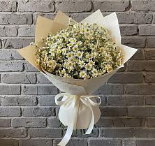 Букет цветов из:  Ромашки в Ветлужском Костромской области