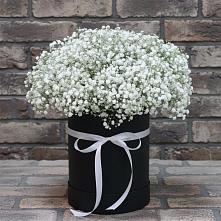 Цветочная композиция из Гипсофила в шляпной коробке в Ветлужском Костромской области