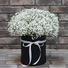 Цветочная композиция из Гипсофила в шляпной коробке в Ветлужском Костромской области