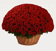 Премиум букет из: Розы #REPLACE_PRED# Ветлужском Костромской области